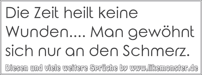 Die Zeit heilt keine Wunden.... Man gewöhnt sich nur an den Schmerz