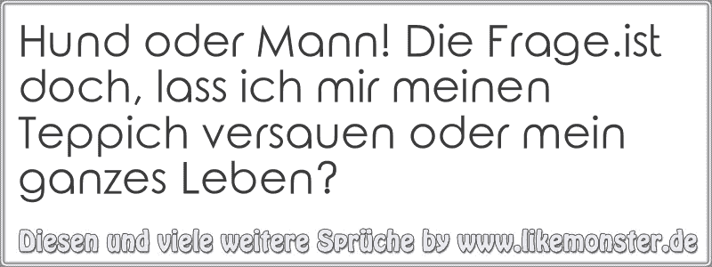 Hund oder Mann! Die Frage.ist doch, lass ich mir meinen Teppich