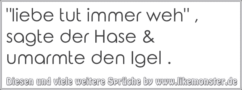 Liebe Tut Immer Weh Sagte Der Hase Umarmte Den Igel