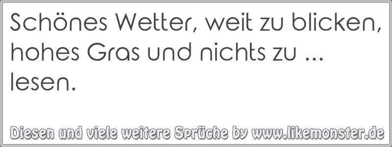 Schönes Wetter, weit zu blicken,hohes Gras und nichts zu lesen