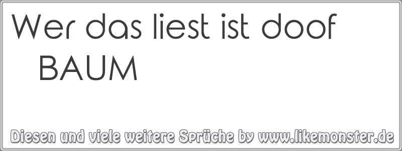 Wer das liest ist doof BAUM Tolle Sprüche und Zitate auf www