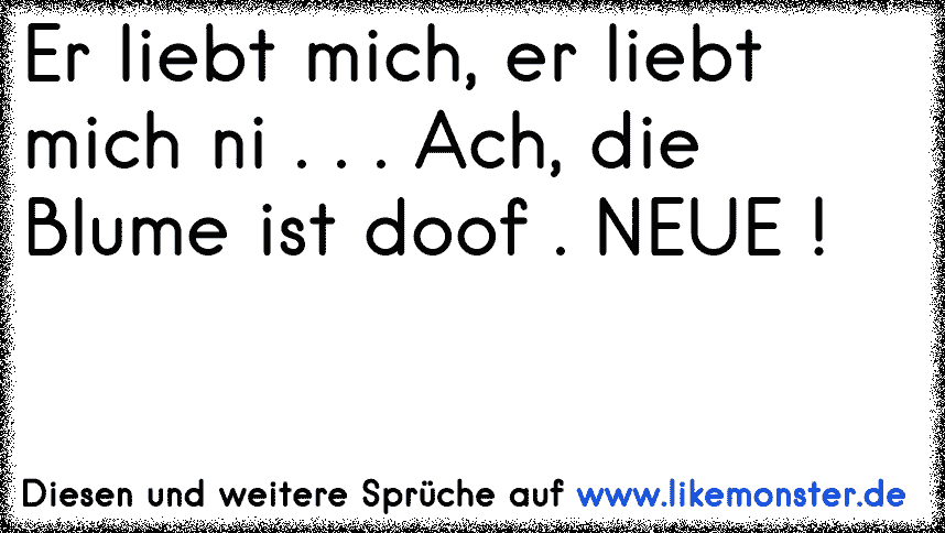 Er liebt mich, er liebt mich ni... Ach die Blume ist doof. Neue