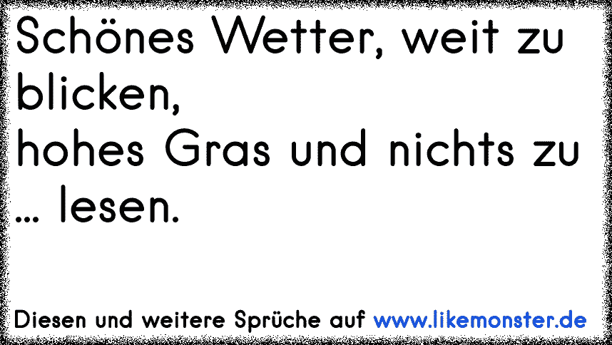 Schönes Wetter, weit zu blicken,hohes Gras und nichts zu lesen